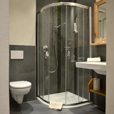 普拉茨尔酒店 3* 奥法赫