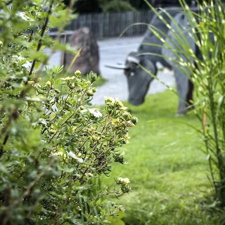 Platzl 3* Auffach