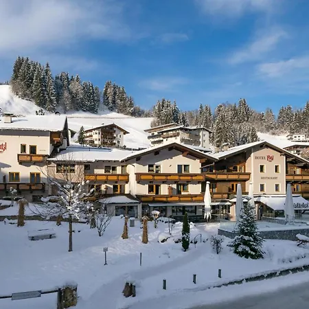 酒店 普拉茨尔酒店 3*