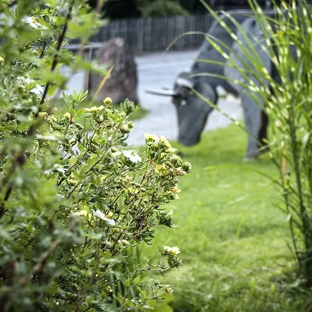 Platzl 3* Auffach